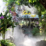 Chiang Rai: 3 Temples, Long Neck Village & Lalitta Café - Practicalities and Experience Details