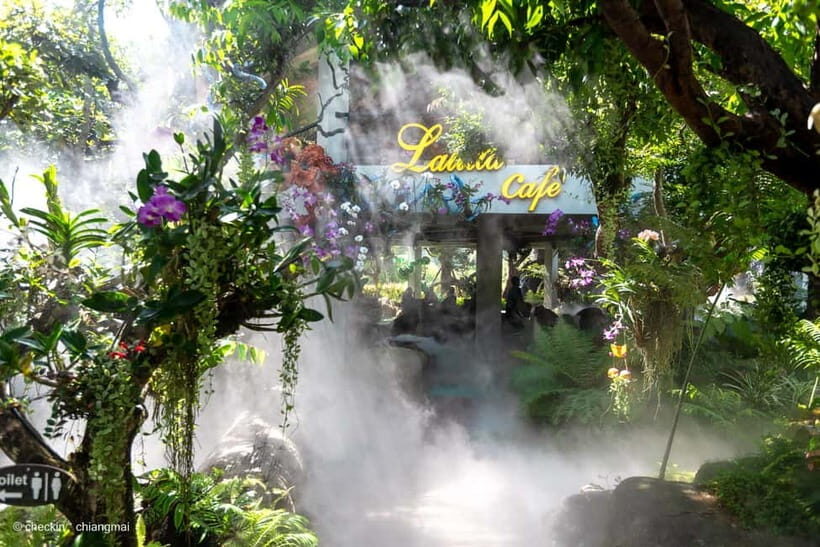 Chiang Rai: 3 Temples, Long Neck Village & Lalitta Café - Practicalities and Experience Details