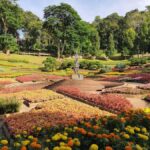 Chiang Rai: Doi Mae Salong & Doi Tung Guided Day Trip - Practical Tips & Considerations