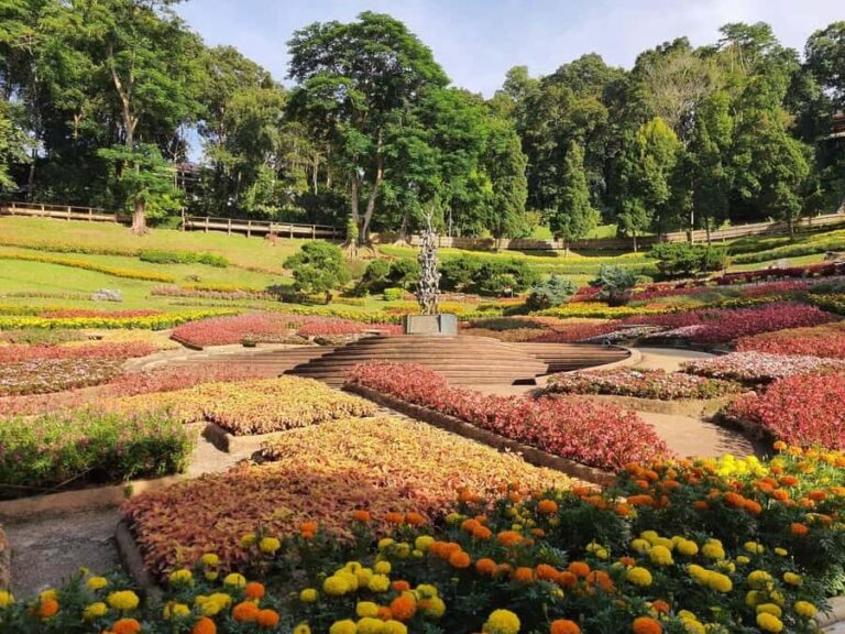 Chiang Rai: Doi Mae Salong & Doi Tung Guided Day Trip - Why This Tour Offers Great Value