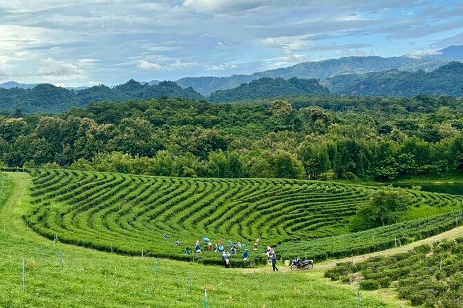 Chiang Rai: Northern Thailand Tour with Golden Triangle - Why This Tour Offers Good Value