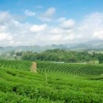 Chiang Rai: Private Customized Tour5 Places of Your Choice - Why This Tour Offers Great Value