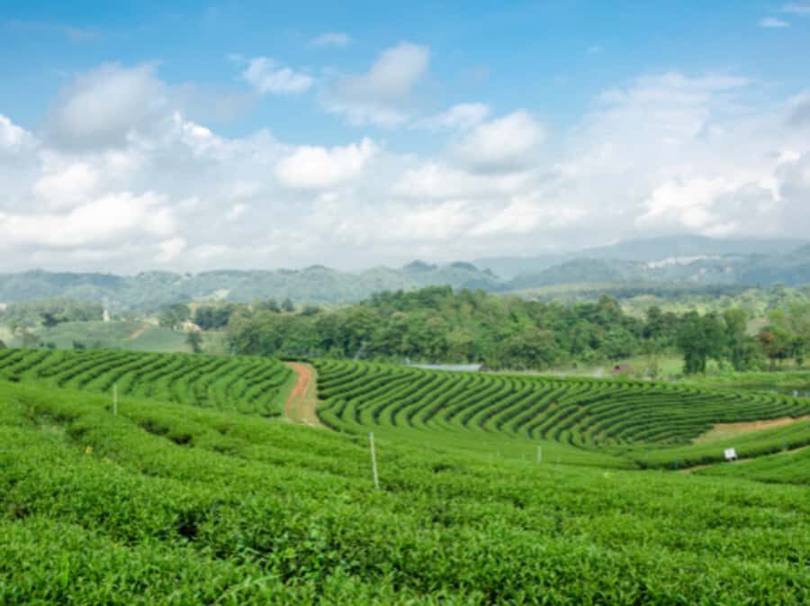 Chiang Rai: Private Customized Tour5 Places of Your Choice - Why This Tour Offers Great Value