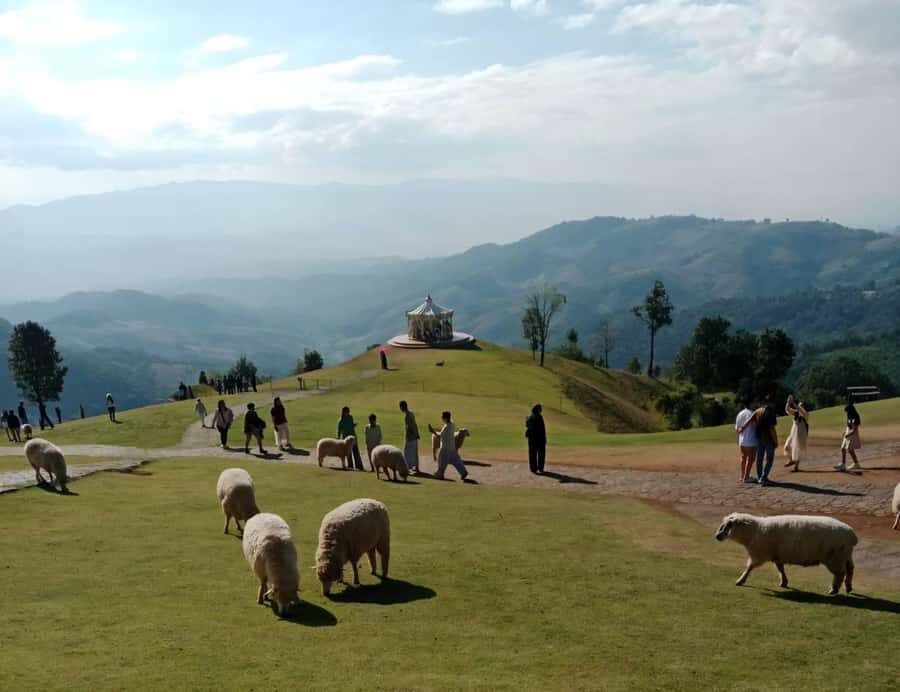 Chiang Rai to Chiang Mai: Private Scenic Transfer Tour - Detailed Breakdown of the Itinerary