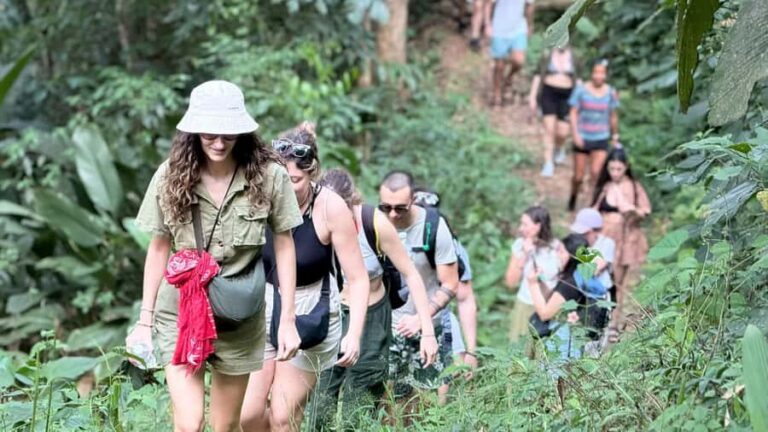 Chiang Rai: Unforgettable Trekking Tour with Bamboo Cooking - Detailed Itinerary Breakdown