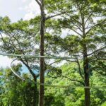 CHIANGMAI: Jungle Flight Zipline and Thai Cooking Class - Practical Details & What to Expect During Ziplining