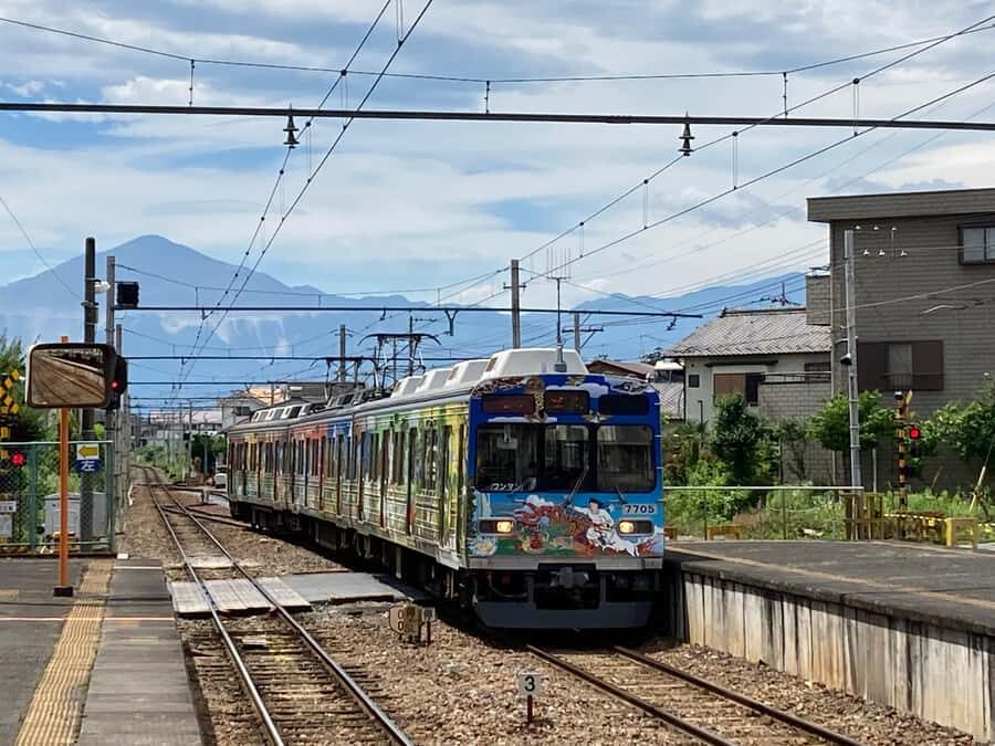 Chichibu Day Trip from Tokyo: Forest Retreat & Scenic Views - The Value of This Tour
