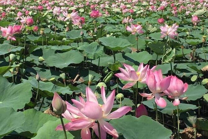 Chiso temple, Neang khmao, and Taprum temple historical site Tour - Who Should Book This Tour?