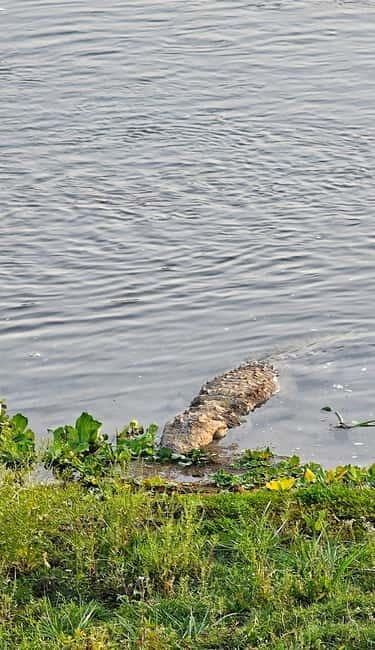 Chitwan: 2 Full day jungle walk with Canoeing all inclusive - Why This Tour Offers Real Value