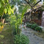 Chitwan Jungle Safari 2 Nights 3 Days with jeep safari & Meals - Who Is This Tour Best For?