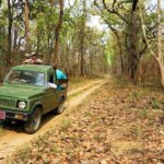 Chitwan Jungle Safari 3-Day Tour - What Makes This Tour Stand Out?