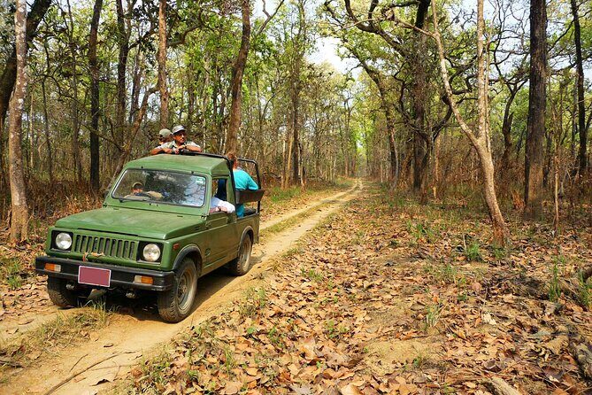 Chitwan Jungle Safari 3-Day Tour - What Makes This Tour Stand Out?