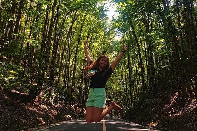 Chocolate Hills and Tarsier Day Tour in Bohol - Practical Aspects & What to Expect