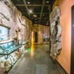 Chongqing China Three Gorges Museum Private VIP Guided Tour - The Museum’s Architectural & Historical Significance