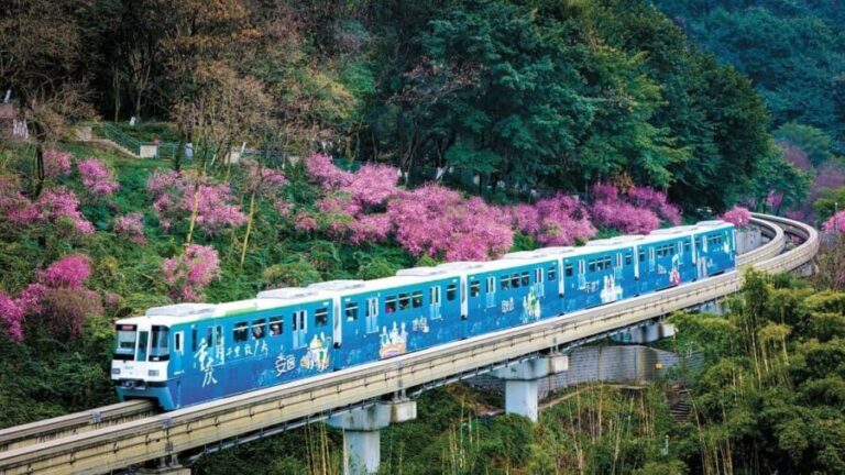 Chongqing: City Walking Private Tour (Guided in Spanish) - The Sum Up