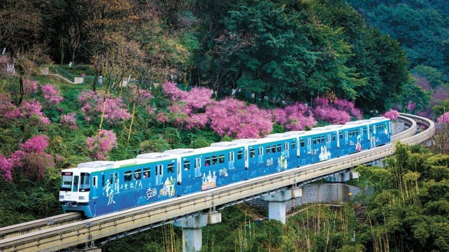 Chongqing: City Walking Private Tour (Guided in Spanish) - The Sum Up