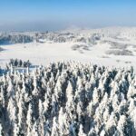 Chongqing: Fairy Mountain Forest Park Ticket - What to Expect from the Fairy Mountain Forest Park Tour