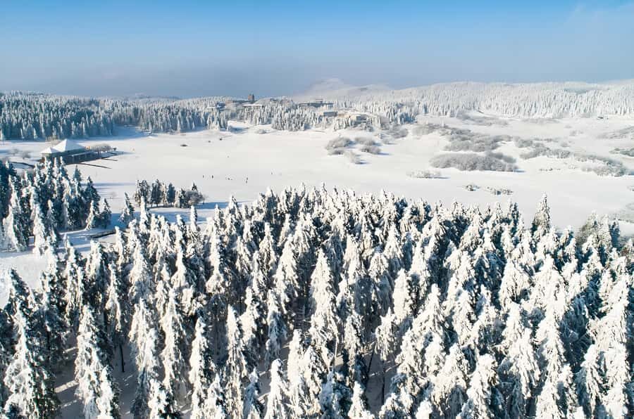 Chongqing: Fairy Mountain Forest Park Ticket - What to Expect from the Fairy Mountain Forest Park Tour