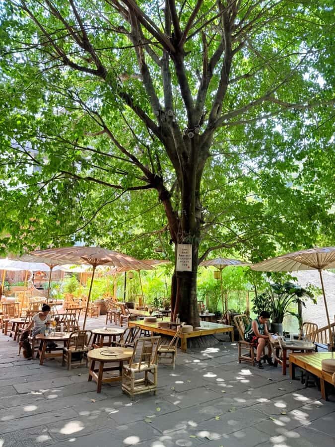 Chongqing History Walk: Temples, Old Streets & Ancient Road - Walking the Historic Huangge Ancient Road