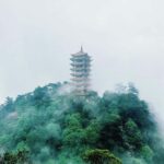 Chongqing: Jinyun Mountain, Museum & Old Street Tour - Is This Tour Worth It?