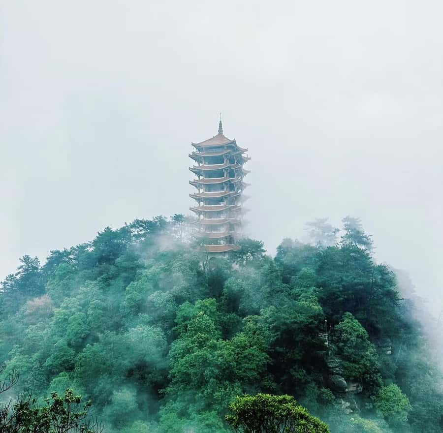 Chongqing: Jinyun Mountain, Museum & Old Street Tour - Is This Tour Worth It?  