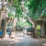 Chongqing Local City Tour for Half-one Day - Practical Considerations and What You Should Know