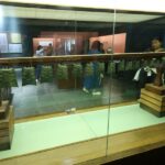 Chongqing: One-Day Extravaganza: Hit All the Must-See Spots! - Starting Point: Hotel Pickup and Comfort in Transit