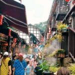 Chongqing Private Tour Pandas City Must See Hot Pot All in one - Practical Details and What They Mean for You