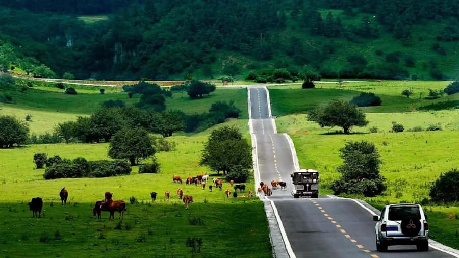 Chongqing: Tiansheng Three Natural Bridges Carpool Tour - An In-Depth Look at the Tiansheng Three Natural Bridges Carpool Tour