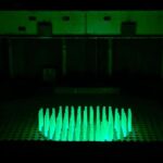 Chongqing: White Crane Ridge & 816 Underground Tour - Exploring the White Crane Ridge Underwater Museum