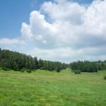 Chongqing Wulong Karst tickets optional chartered tours - What to Expect from the Wulong Karst Tour