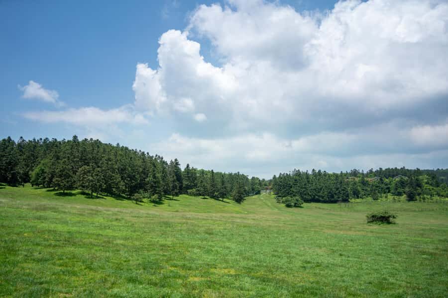 Chongqing Wulong Karst tickets optional chartered tours - What to Expect from the Wulong Karst Tour