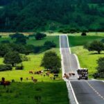 Chongqing: Wulong Tian Sheng San Qiao Private Tour - Discovering the Wulong Tian Sheng San Qiao Private Tour