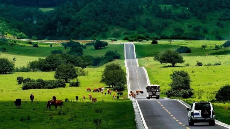 Chongqing: Wulong Tian Sheng San Qiao Private Tour - What makes this tour valuable?