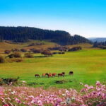 Chongqing:One-day Wulong HikeTrip(GeoPark+Fairy Mt)car incld - The Itinerary in Detail