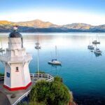 Christchurch: Akaroa and Banks Peninsula Day Trip - The Value of the Experience