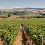 Christchurch City & Waipara Valley Wine Tour - Discovering Waipara Valley’s Boutique Wineries