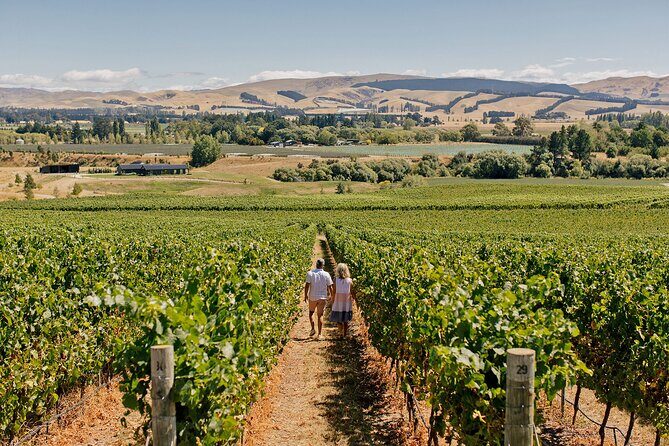 Christchurch City & Waipara Valley Wine Tour - Discovering Waipara Valley’s Boutique Wineries