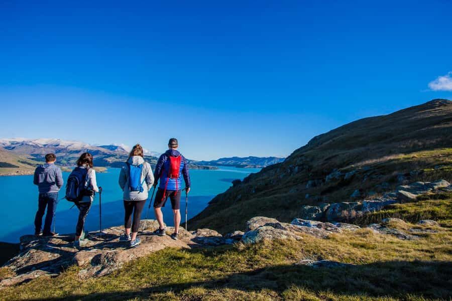 Christchurch: Guided Crater Rim Walk with Coastal Scenery - What Sets This Tour Apart?