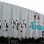 Christchurch International Airport :Airport to City Centre - Who Will Love This Transfer Service?