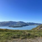 Christchurch: Port Hills Full-Day Trail Running Tour - Practical Tips for Participants