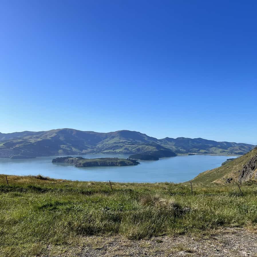 Christchurch: Port Hills Full-Day Trail Running Tour - Practical Tips for Participants