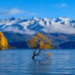 Christchurch to Queenstown 2 Day Tour via Franz Josef - Deep Dive: What to Expect at Each Stop