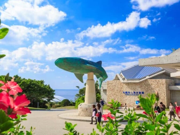 Churaumi Aquarium, Cape Manzamo, American Village - What to Expect and Practical Insights