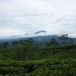 Cianjur: Full-Day Historical Tour of Gunung Padang and Falls - Practical Aspects and What to Expect