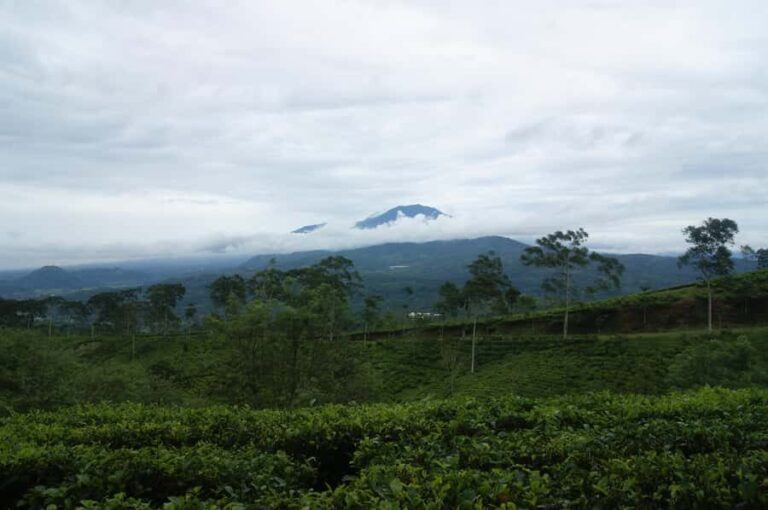 Cianjur: Full-Day Historical Tour of Gunung Padang and Falls - Practical Aspects and What to Expect