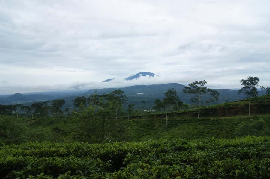 Cianjur: Full-Day Historical Tour of Gunung Padang and Falls - Practical Aspects and What to Expect