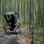 Cinematic Portrait Film Experience in Kyoto with Local Filmmaker - Practical Details and Considerations