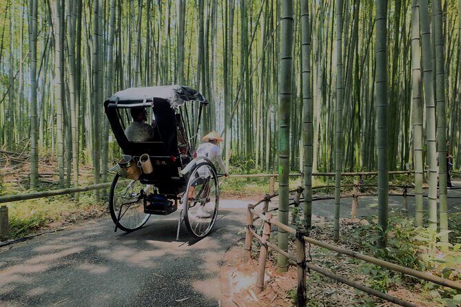 Cinematic Portrait Film Experience in Kyoto with Local Filmmaker - Practical Details and Considerations