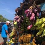 City and Country Puerto Plata History and Beach - What’s Included and What’s Not